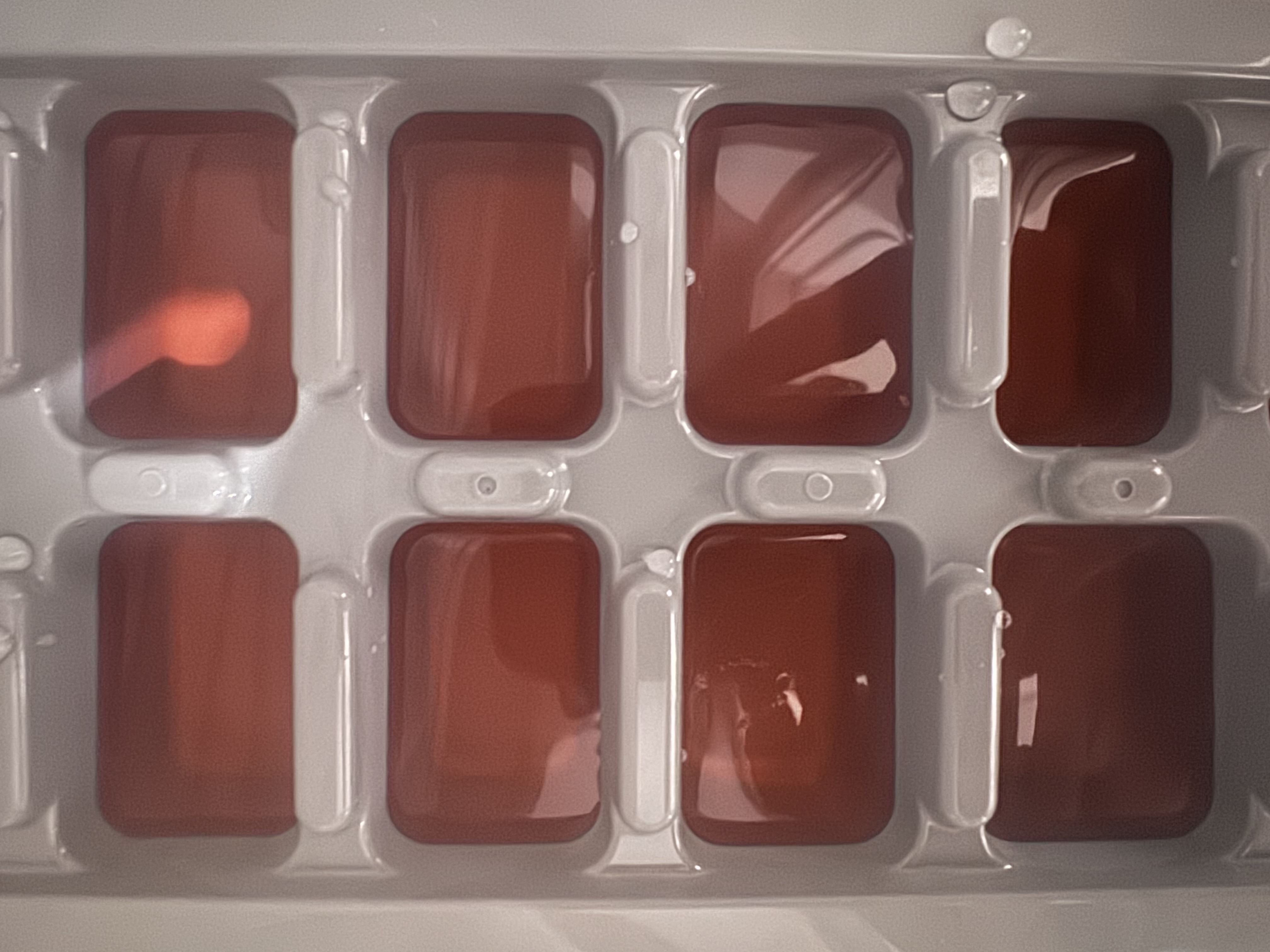 Food coloring showing heat moving through water